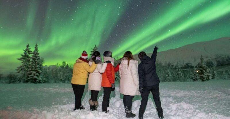 Tromsø: Aurora Safari Chase by big bus with Camp meal - Final Thoughts