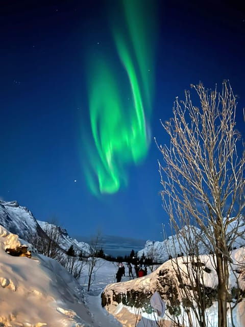 Tromso: Aurora Tour Hygge Magic Experience.(Wifi Free) - Minor Requirements