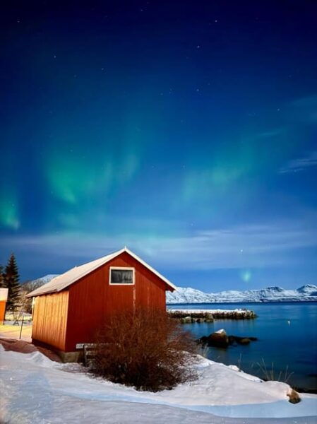 Tromso: Aurora Tour Hygge Magic Experience.(Wifi Free) - Pricing