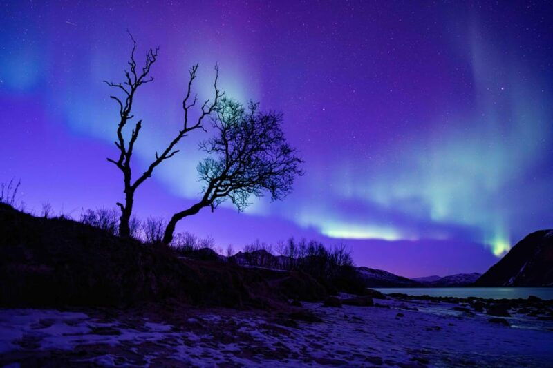 Tromsø: Aurora Tour with Campfire and Professional Photos - The Value for Money