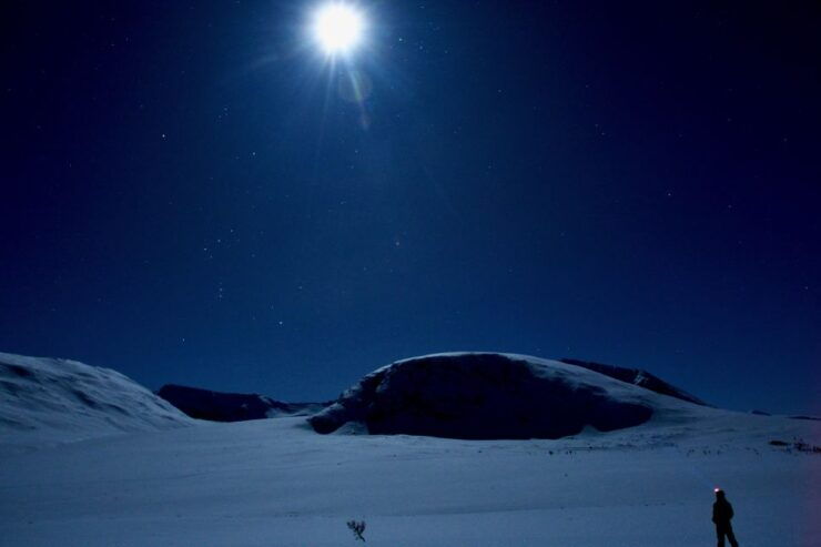Tromsø: Beginners Guided Backcountry Cross-Country Skiing - Tour Details