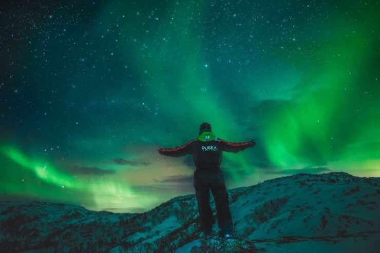 Tromsø: Chase the Northern Lights Mini-Bus Tour - Experience Highlights