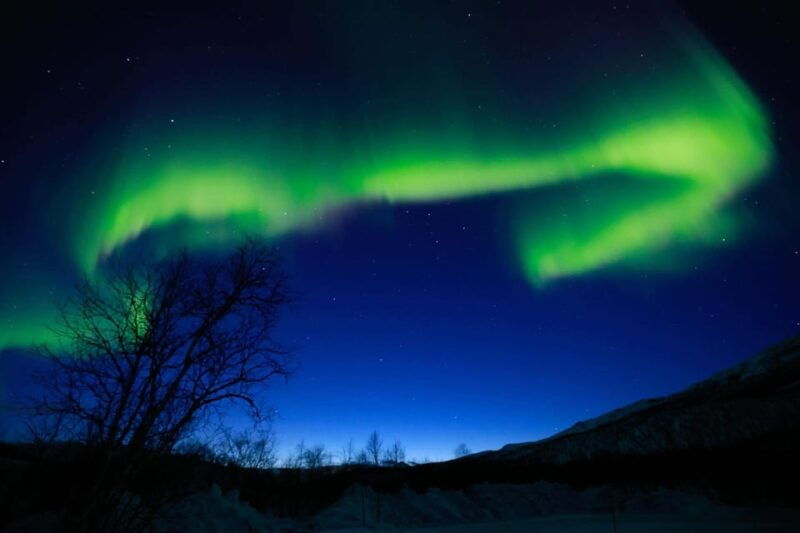 Tromsø Chinese Aurora Tour - What to Expect from the Tromsø Chinese Aurora Tour