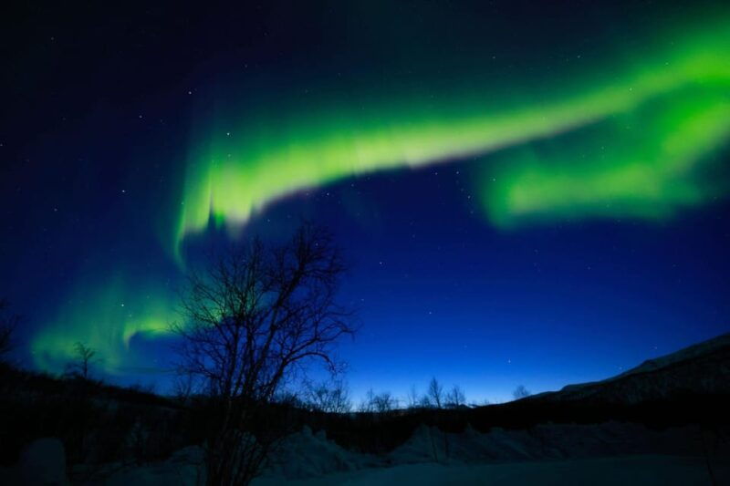 Tromsø Chinese Aurora Tour - The Sum Up