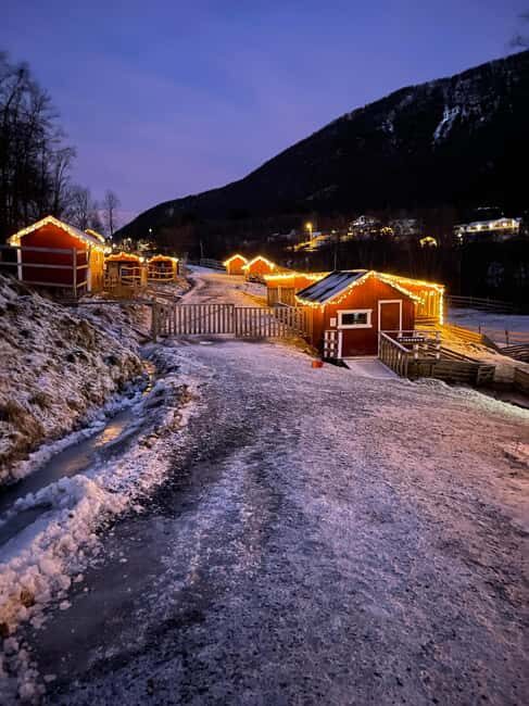 Tromsø: Cosy Farm Visit with a Chance of Northen Lights - Practical Details and Value