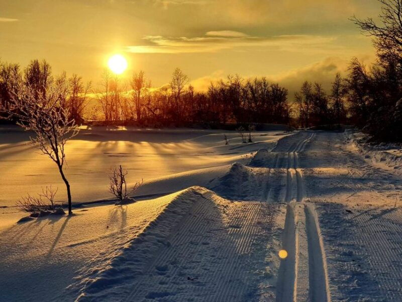 Tromsø: Cross Country Guided Skiing Course - Good To Know