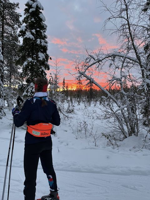 Tromsø: Cross Country Guided Skiing Course - The Itinerary in Detail