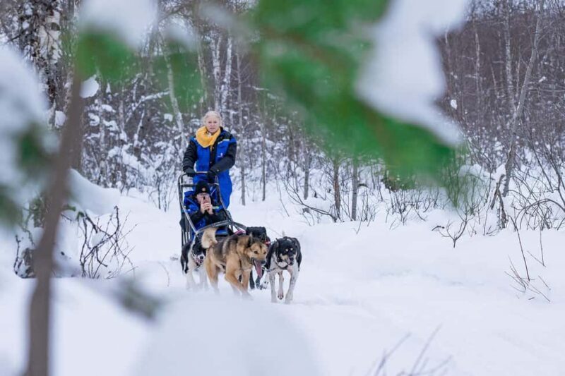 Tromsø: Dog Sledding Adventure at Camp Aspemo - Exploring the Details of the Tour