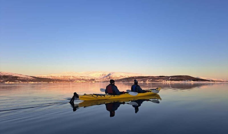 Tromsø: Easy Winter Kayaking Tour with Seal Watching - Good To Know