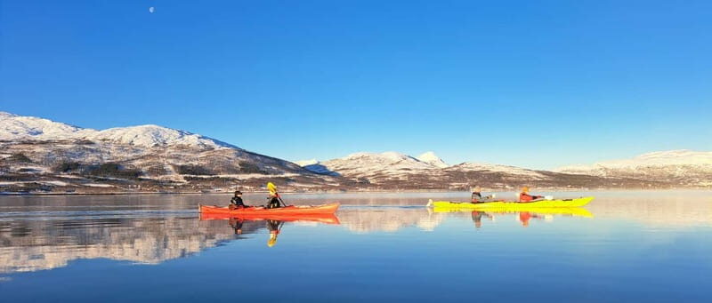 Tromsø: Easy Winter Kayaking Tour with Seal Watching - An Authentic Arctic Experience in Tromsø