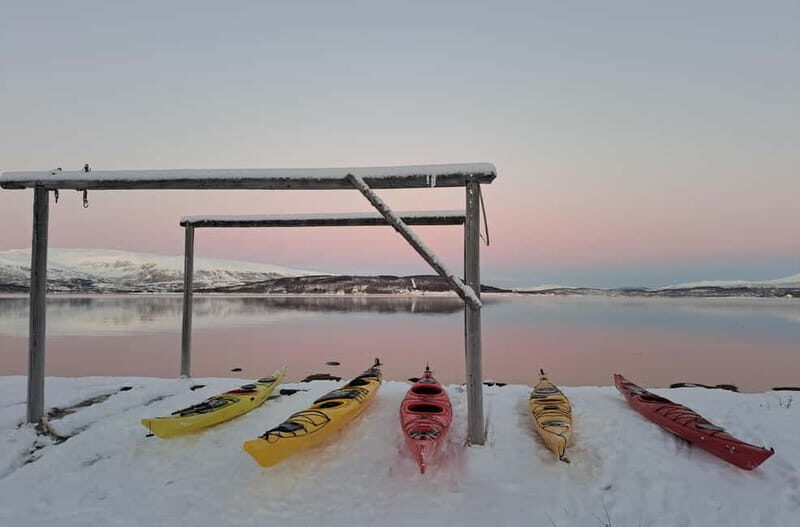 Tromsø: Easy Winter Kayaking Tour with Seal Watching - The Experience of Wildlife and Scenery