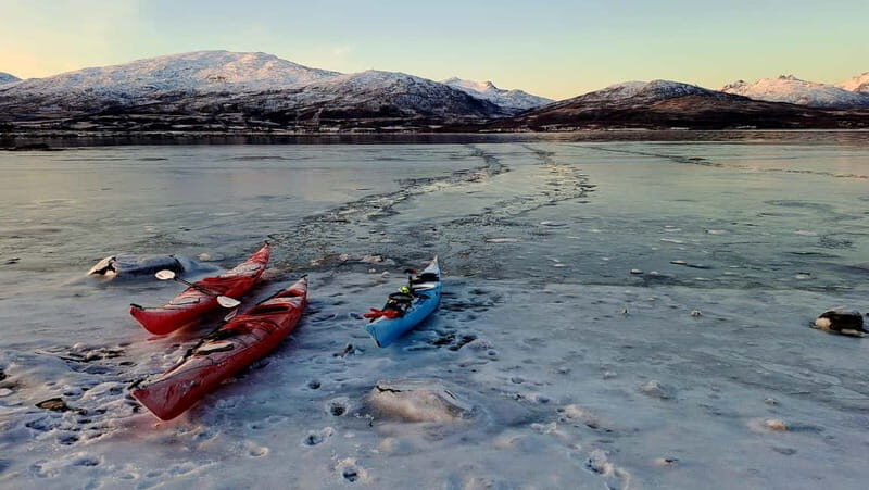 Tromsø: Easy Winter Kayaking Tour with Seal Watching - Practical Tips for Booking