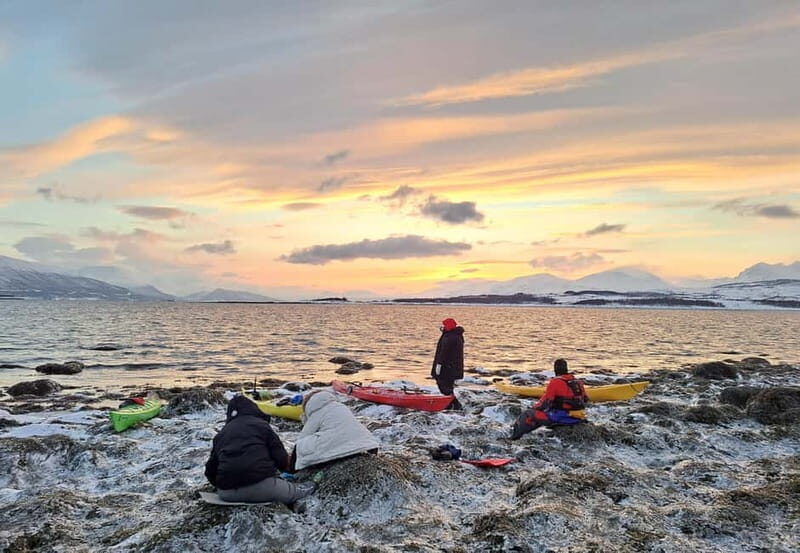 Tromsø: Easy Winter Kayaking Tour with Seal Watching - Why This Tour Is Perfect for You