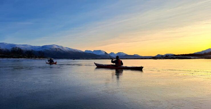 Tromsø: Easy Winter Kayaking Tour With Seal Watching - Good To Know