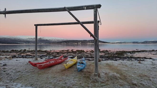 Tromsø: Easy Winter Kayaking Tour With Seal Watching - Customer Reviews and Feedback