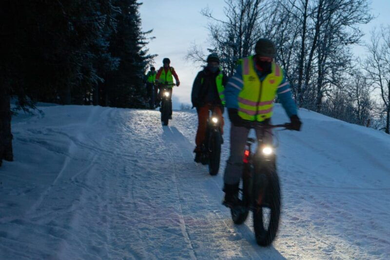 Tromsø: Electric fatbike trip on winter paths - Good To Know
