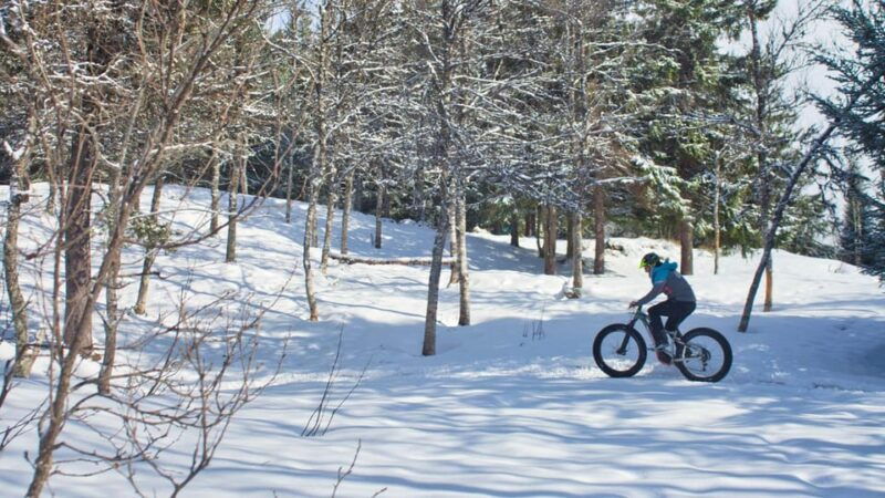 Tromsø: Electric fatbike trip on winter paths - An In-Depth Look at the Tromsø Electric Fatbike Tour