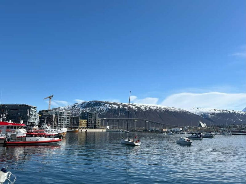 Tromsø: Evening City Walking Tour with Arctic Stories - FAQs