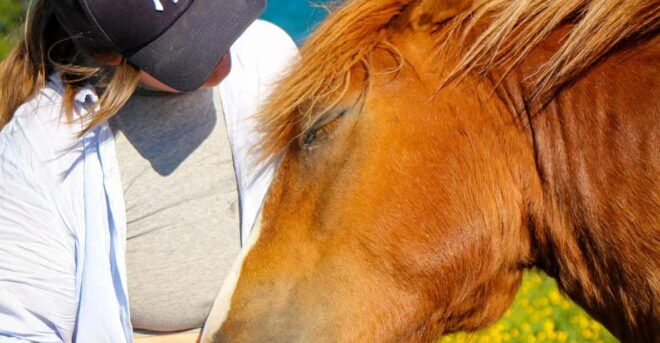 Tromsø: Evening Horseriding Experience - Participant Requirements