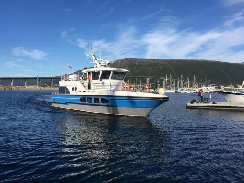 Tromsø: Evening Sightseeing Cruise All-inclusive - The All-Inclusive Comforts