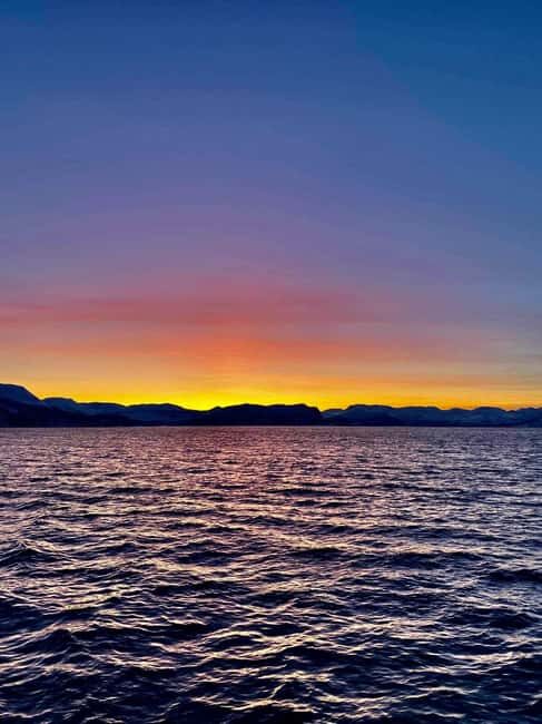Tromsø: Evening Sightseeing Cruise All-inclusive - Timing and Duration