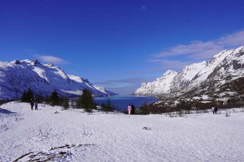 Tromsø: Exclusive Fjord Adventure by Bus - An In-Depth Look at the Tromsø Fjord Adventure