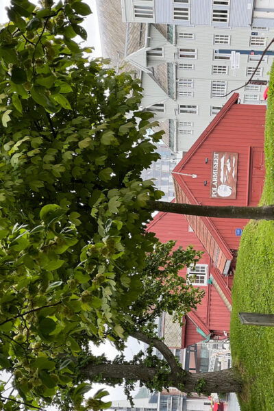TROMSØ: Explore The City And a Guided Tour Of PolarMuseum! - Meeting Point and Directions