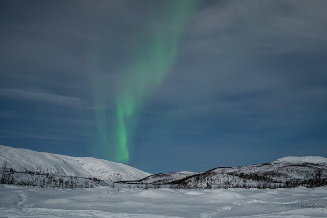 Tromsø: Express Aurora Hunt with Wandering Owl - Who Will Love This Experience