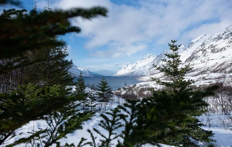 Tromsø: Express Fjord Road Trip - Tromsø: Express Fjord Road Trip – A Scenic Snapshot of Arctic Norway