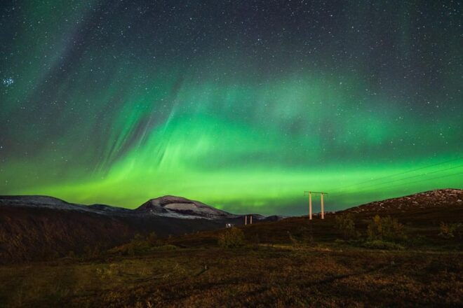 Tromso: Express Walk With a Local in 60 Minutes - Tour Highlights