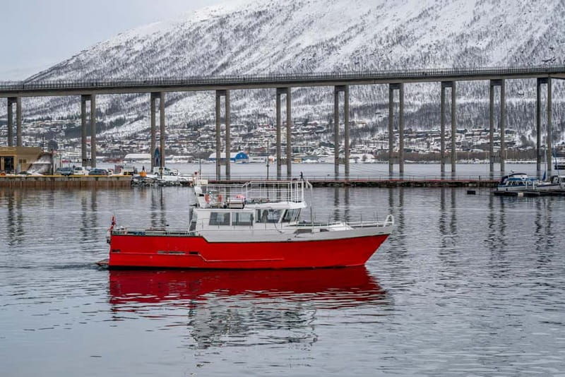 Tromsø: Fishing Sea Safari - What to Expect from Tromsø’s Fishing Sea Safari