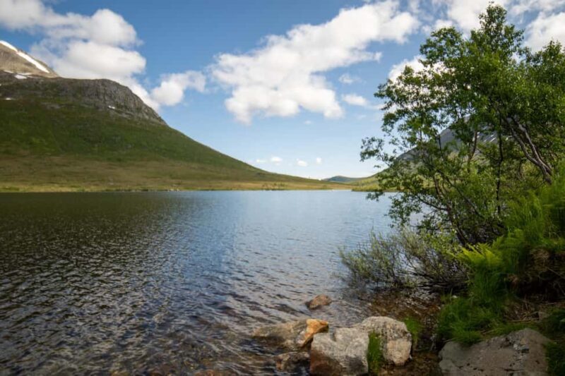 Tromsø: Fjord Adventure with Lunch and Photos - Learning Photography and Local Insights