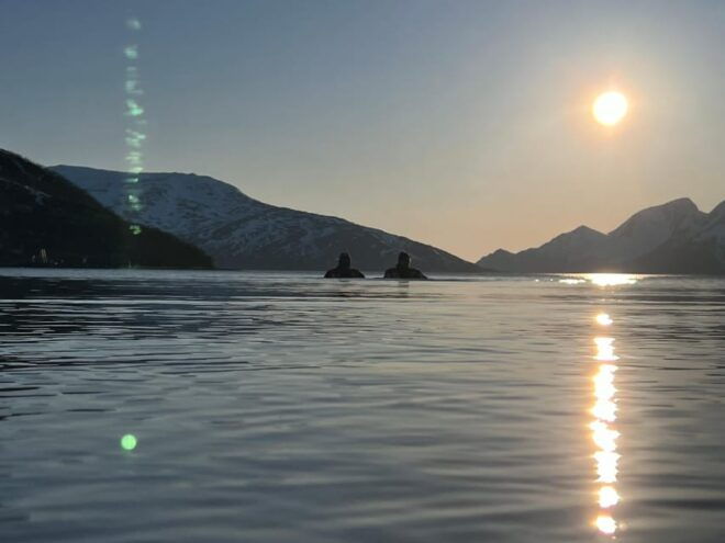Tromsø: Fjord and Floating Safari, Arctic Floating - Itinerary Details