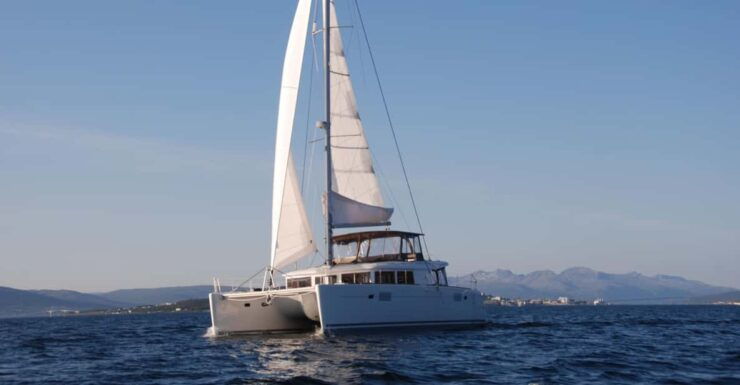 Tromsø: Fjord and Islands Luxury Catamaran Cruise - Experience Highlights