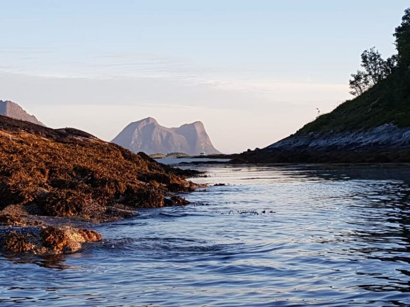 Tromso: Fjord Arctic Adventure Expedition - Why You Should Consider This Tour