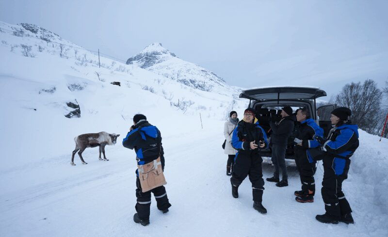 Tromso: Fjord Arctic Adventure Expedition - FAQ