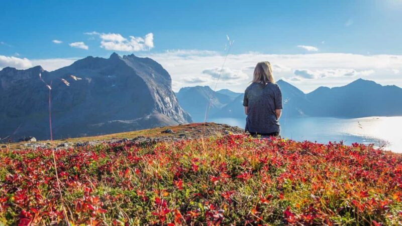 Tromso: Fjord Arctic Adventure Expedition - Who is This Tour Best For?