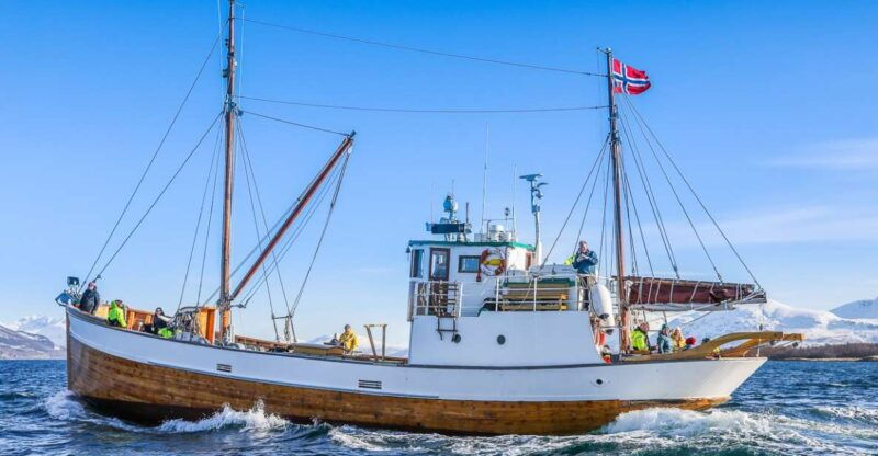 Tromsø: Fjord History Cruise with Snack and Drinks - Final Thoughts: Is It Worth It?