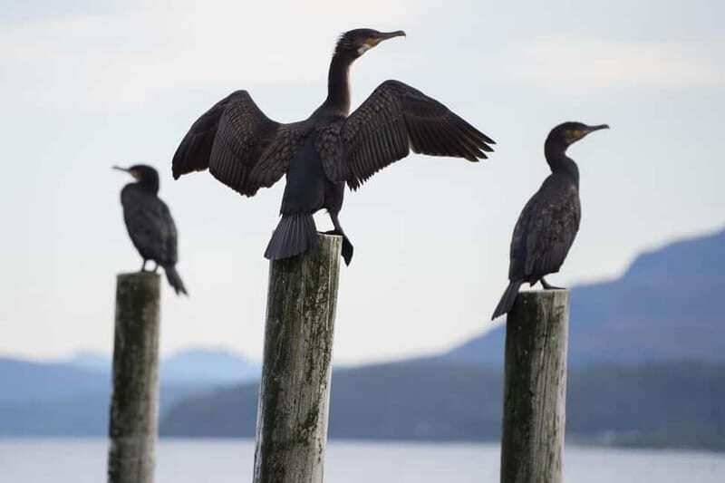 Tromsø: Fjord Tour and Visit to Sommarøy with Expert Tour Guide in Italian - The Value of the Experience