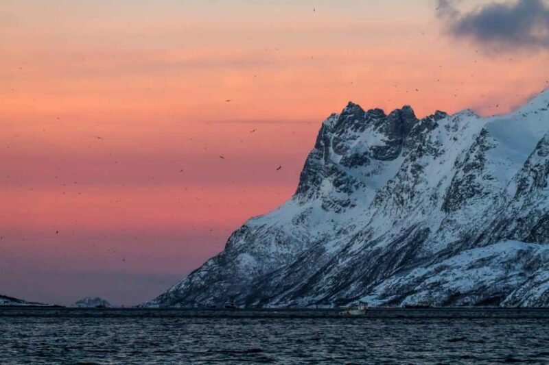 Tromsø: Fjord tour in a minibus and fish soup at Sommarøy - Frequently Asked Questions