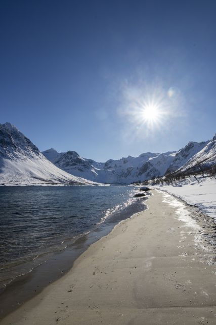 Tromsø Fjords and Islands Private Road Trip With Minivan - Booking Details