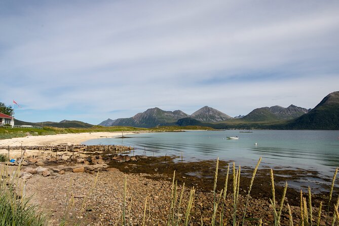 Tromsø Fjords and Islands Road Trip With 8 Seats Minivan - Common Questions