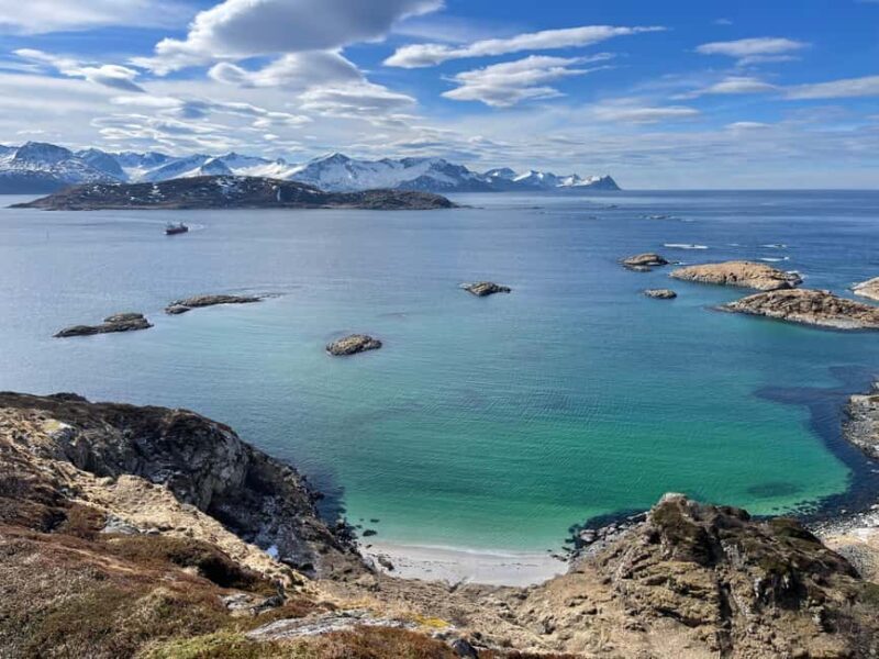 Tromsø: Fjords and Wildlife Tour in a Minibus - FAQ