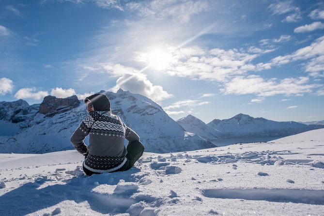 Tromso Fjords With Kvaloya Island Small Group Half Day Tour - Highlights and Experiences