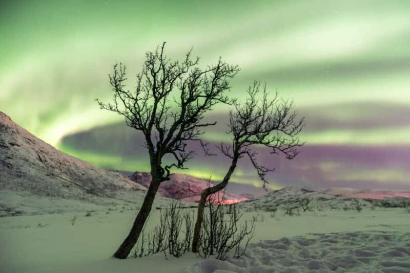 Tromso: Focused Northern Lights Hunt - The Experience at a Glance