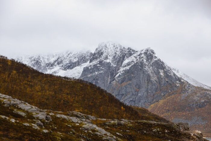 Tromso: Guided Fjord Expedition in Kvaløya with Light Lunch - Final Thoughts