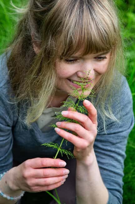 Tromsø: Guided Forest Bathing Experience - Good To Know