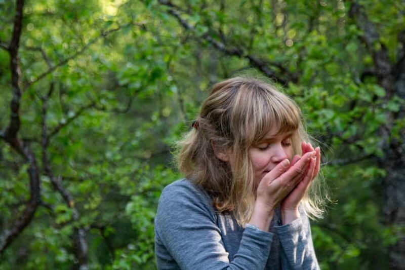 Tromsø: Guided Forest Bathing Experience - An In-Depth Look at the Tromsø Forest Bathing Experience