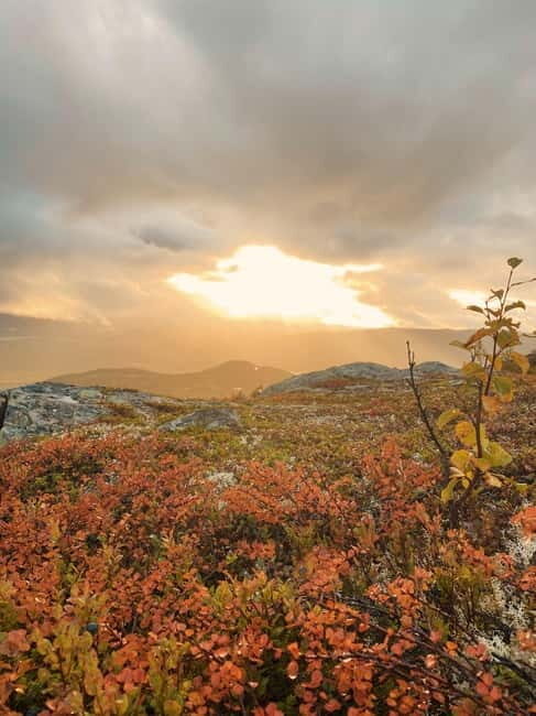 Tromsø: Guided Hiking Tour with Roundtrip Transfers - FAQ