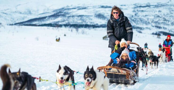 Tromsø: Guided Husky Sledding With Traditional Lunch - Activity Details